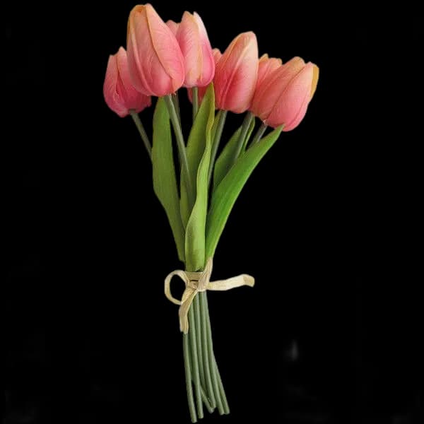 a bunch of tulips